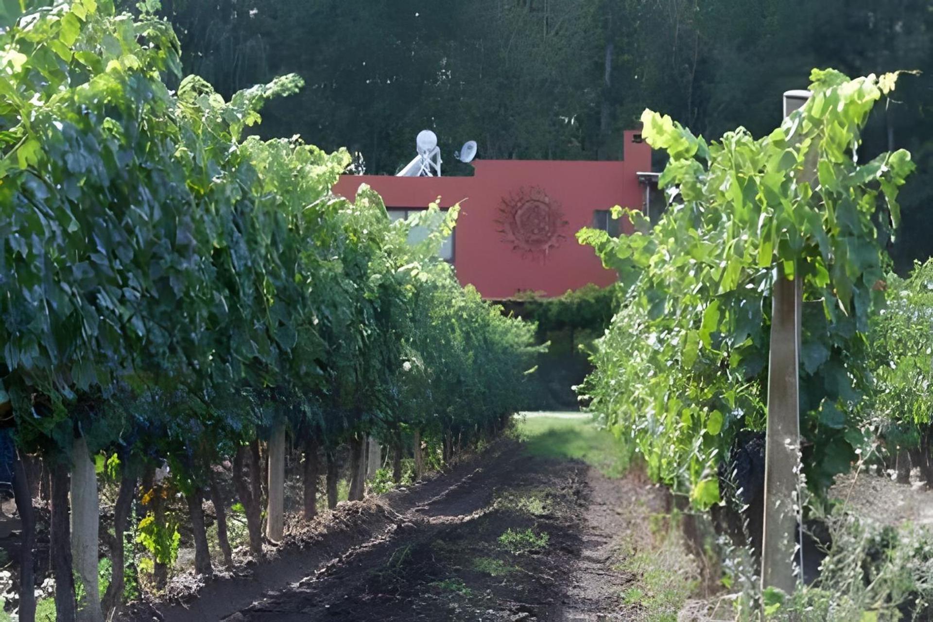 Finca Ogawa Los Sauces  Luaran gambar